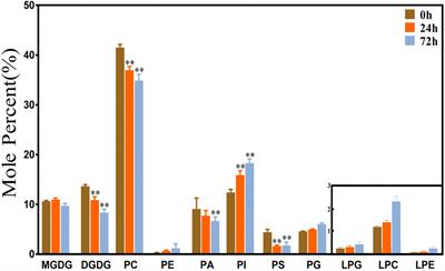 The Adjustment of Membrane Lipid Metabolism Pathways in Maize Roots Under Saline–Alkaline Stress